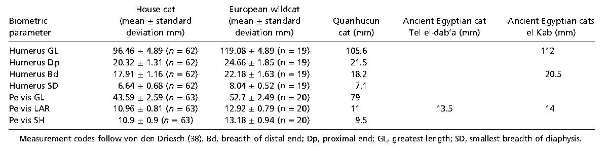 图2：泉护村遗址猫与现代欧洲家猫、野猫及古代埃及猫的尺寸比较.png