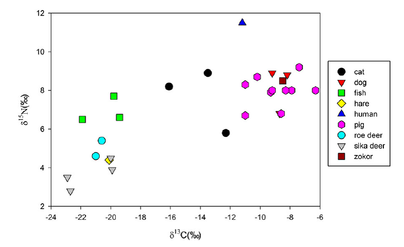 图3：泉护村人与动物的δ13C 和δ15N值散点图.png